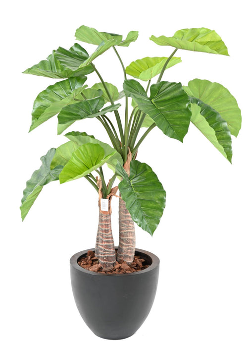Pianta Alocasia Artificiale 3 Tronchi 130 Cm