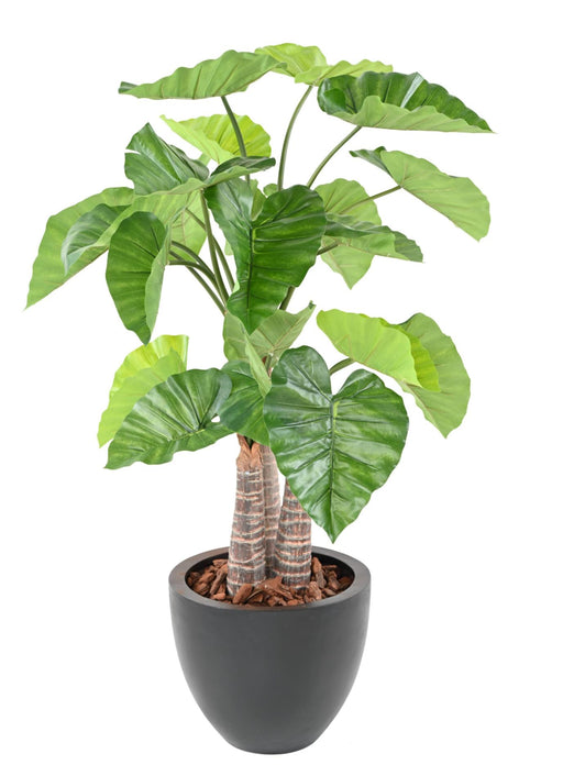 Pianta Alocasia Artificiale 3 Tronchi 130 Cm