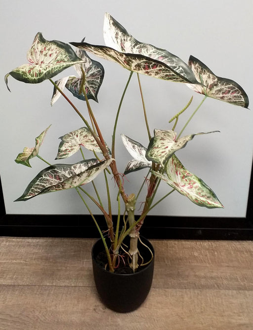 Pianta Di Alocasia Artificiale 75 Cm Per Interni