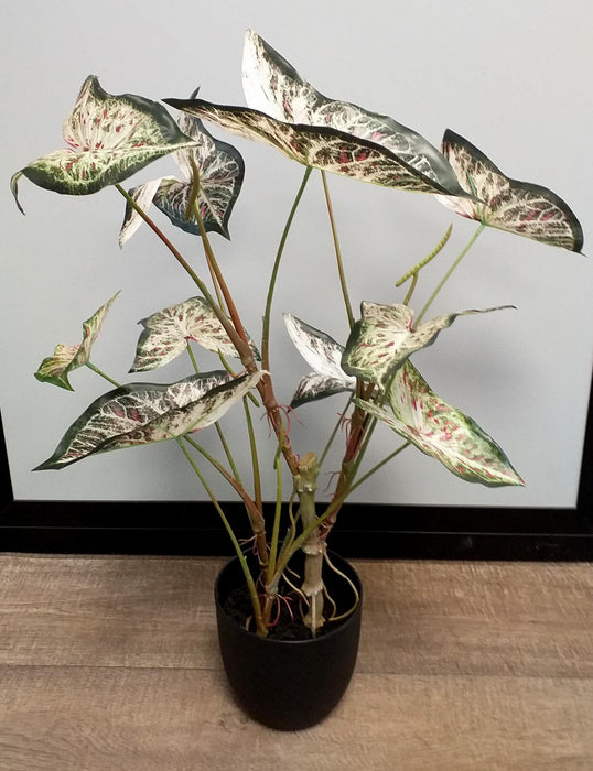 Pianta Di Alocasia Artificiale 75 Cm Per Interni