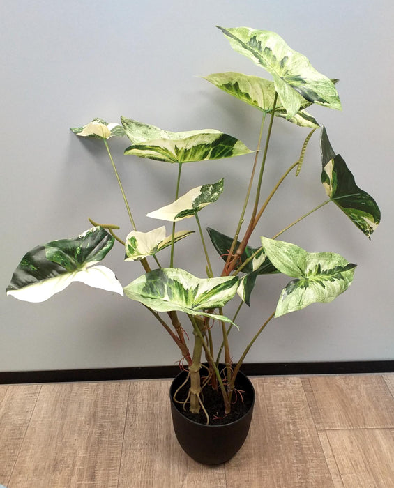 Pianta Di Alocasia Artificiale 75Cm Con Vaso Nero