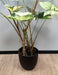 Pianta Di Alocasia Artificiale 75Cm Con Vaso Nero