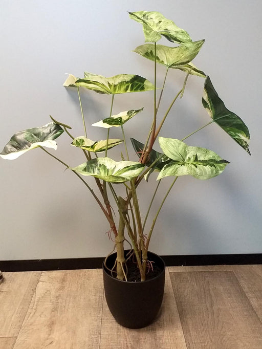 Pianta Di Alocasia Artificiale 75Cm Con Vaso Nero