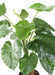Pianta Artificiale Alocasia Calidora 130Cm Decorazione