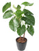 Pianta Artificiale Alocasia Calidora 130Cm Decorazione