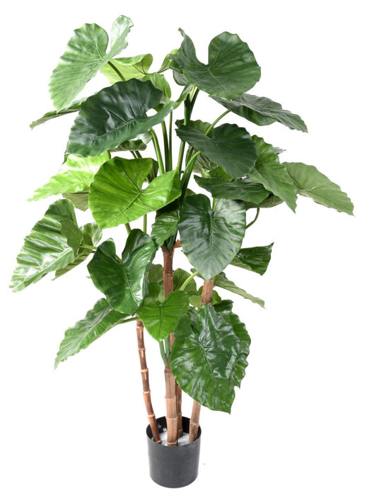 Pianta Artificiale Alocasia Calidora 170Cm Indoor