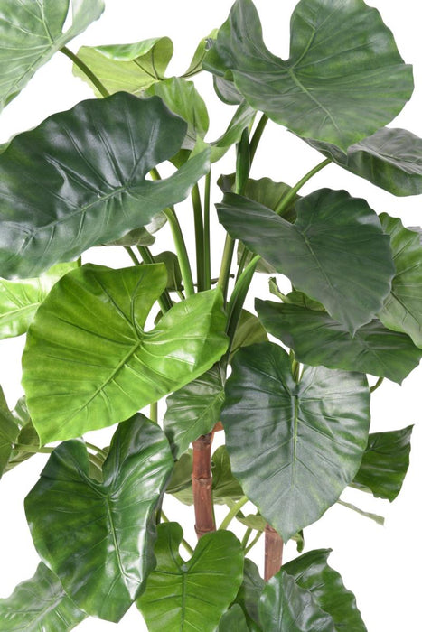 Pianta Artificiale Alocasia Calidora 170Cm Indoor