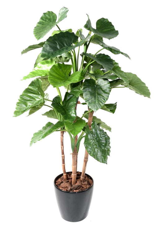 Pianta Artificiale Alocasia Calidora 170Cm Indoor