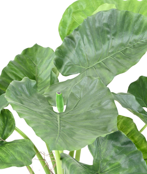 Pianta Artificiale Alocasia Calidora 65Cm Decorazione Interni
