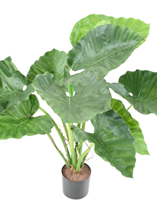 Pianta Artificiale Alocasia Calidora 65Cm Decorazione Interni