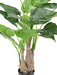 Pianta Artificiale Alocasia Cucullata 80Cm Decorazione Interni