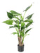 Pianta Artificiale Alocasia Cucullata 80Cm Decorazione Interni