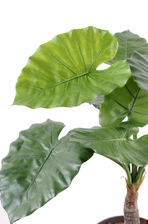 Pianta Di Alocasia Artificiale H.80 Cm Per Decorazione
