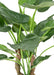 Pianta Artificiale Alocasia Tropic 50Cm