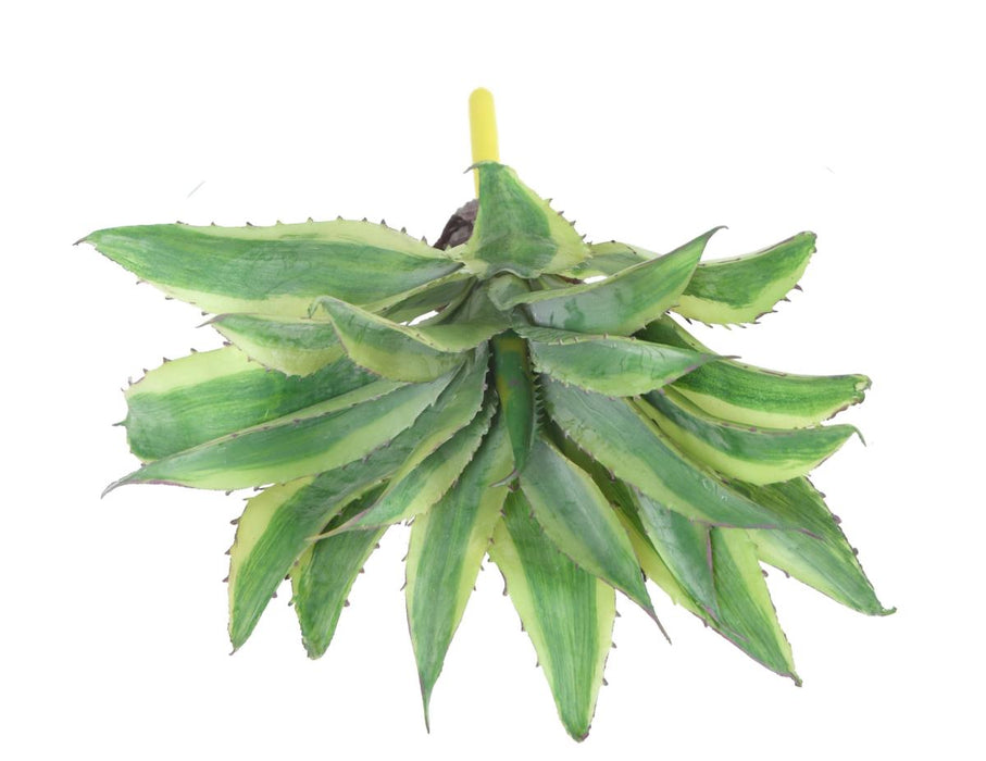 Pianta Artificiale Aloe Cactus Indoor 27Cm Verde