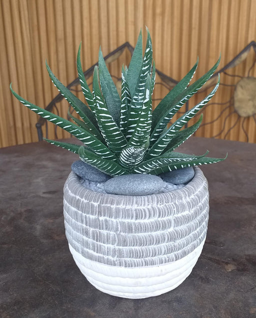 Pianta Artificiale Di Aloe Ferox 15Cm Verde Da Interno