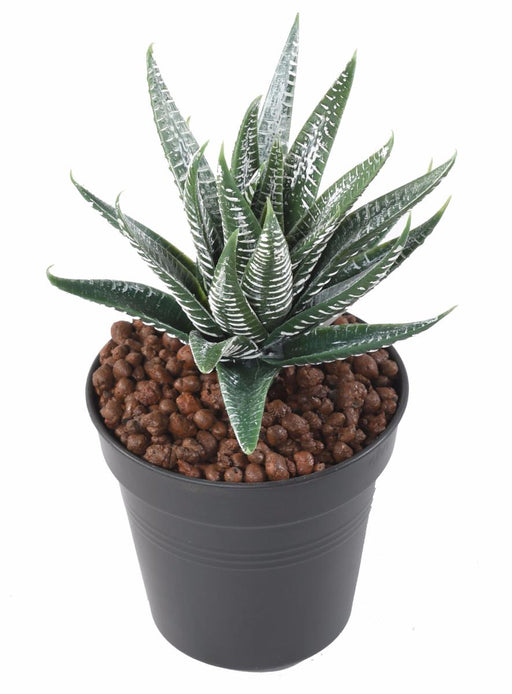 Pianta Artificiale Di Aloe Ferox 15Cm Verde Da Interno