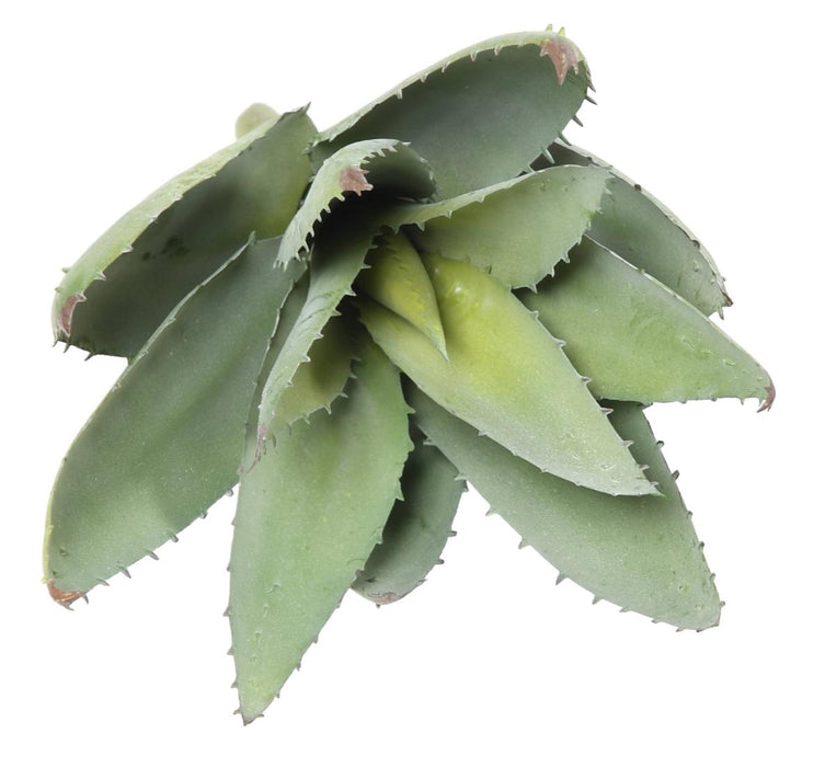 Pianta Artificiale Di Aloe Vera Cactus Decorativo Da 32 Cm