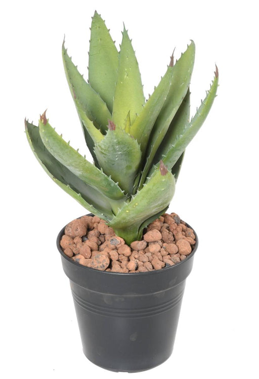 Pianta Artificiale Di Aloe Vera Cactus Decorativo Da 32 Cm