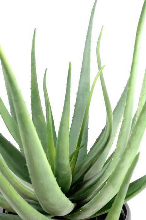 Pianta Artificiale Di Aloe Vera 70 Cm Per Decorazione