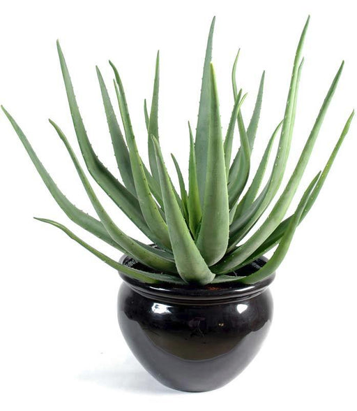Pianta Artificiale Di Aloe Vera 70 Cm Per Decorazione
