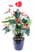Pianta Artificiale Anthurium Rosso 78Cm In Vaso