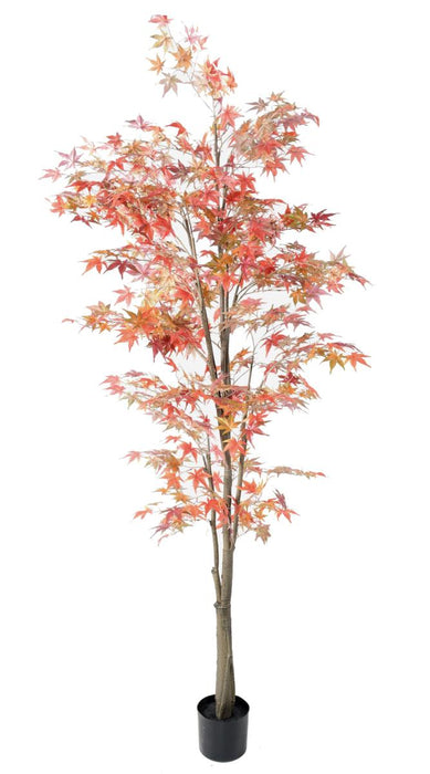 Pianta Artificiale Aralia Rossa H.220Cm Per Interni