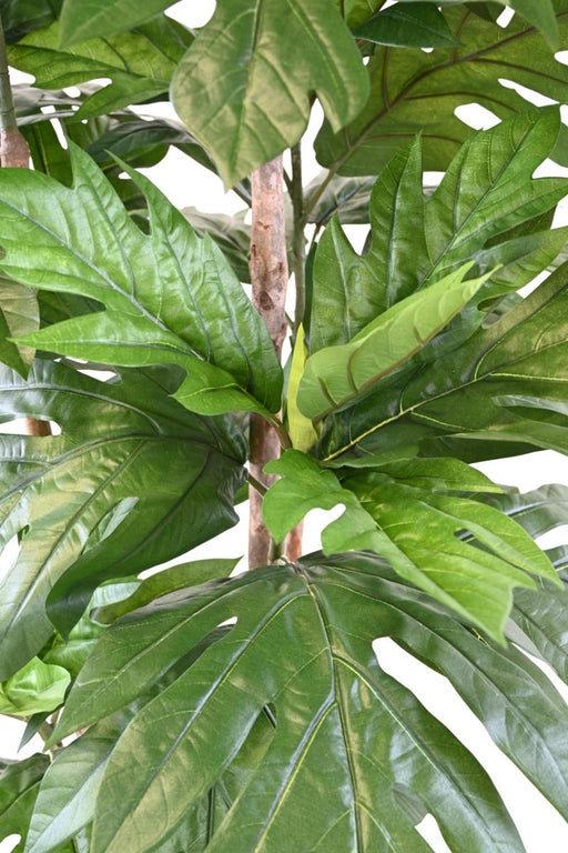 Pianta Artificiale Albero Del Pane H.200Cm Verde