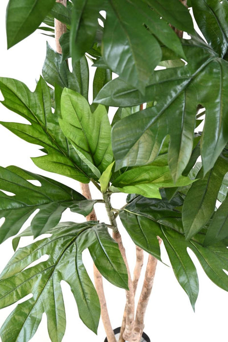 Pianta Artificiale Albero Del Pane H.200Cm Verde