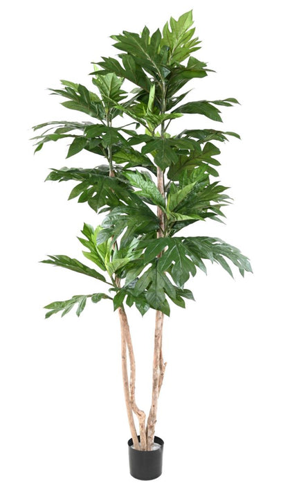 Pianta Artificiale Albero Del Pane H.200Cm Verde