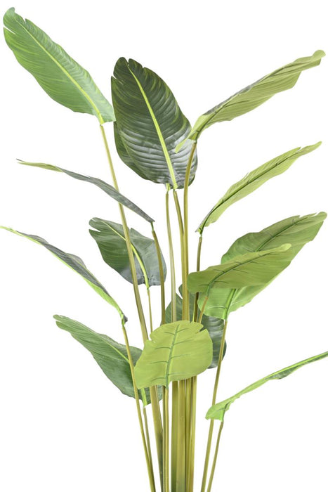 Pianta Artificiale Albero Del Viaggiatore 220 Cm