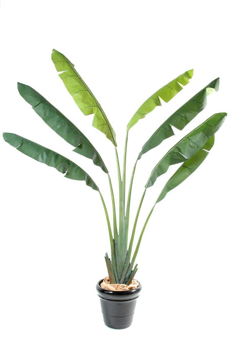 Pianta Artificiale Albero Del Viaggiatore 250 Cm