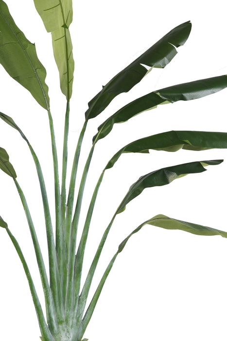 Pianta Artificiale Albero Del Viaggiatore 350 Cm