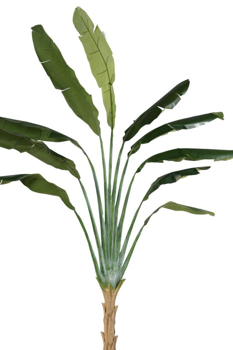 Pianta Artificiale Albero Del Viaggiatore 350 Cm