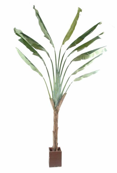 Pianta Artificiale Albero Del Viaggiatore 350 Cm