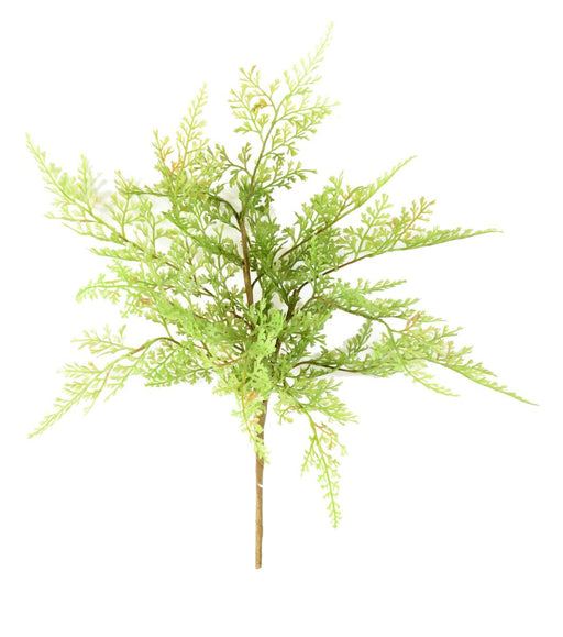 Pianta Artificiale Asparagi Palo 34Cm Verde