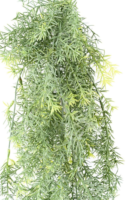 Pianta Di Asparagi Artificiali Verdi 80 Cm Per Interni