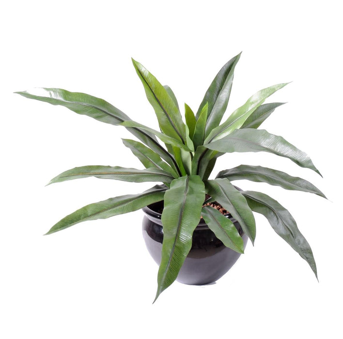 Pianta Asplenium Artificiale 15 Foglie 40Cm Verde