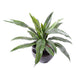 Pianta Asplenium Artificiale 15 Foglie 40Cm Verde