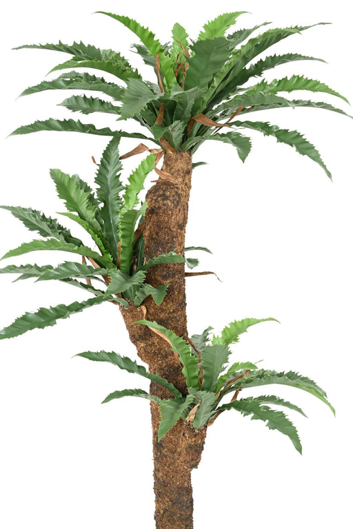 Pianta Artificiale Di Asplenium H130Cm Per Interni