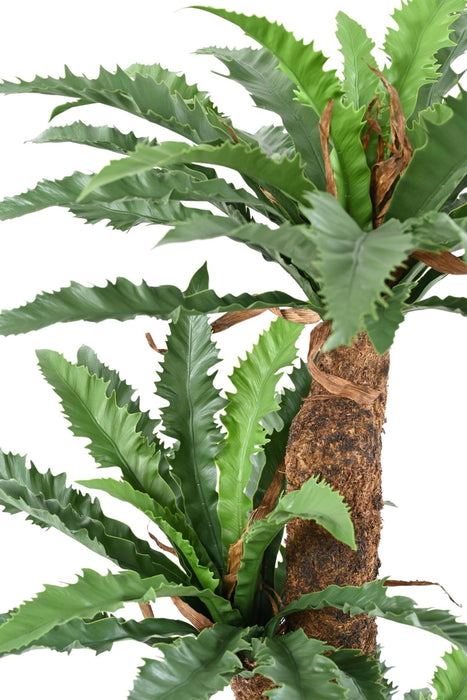 Pianta Artificiale Di Asplenium H130Cm Per Interni