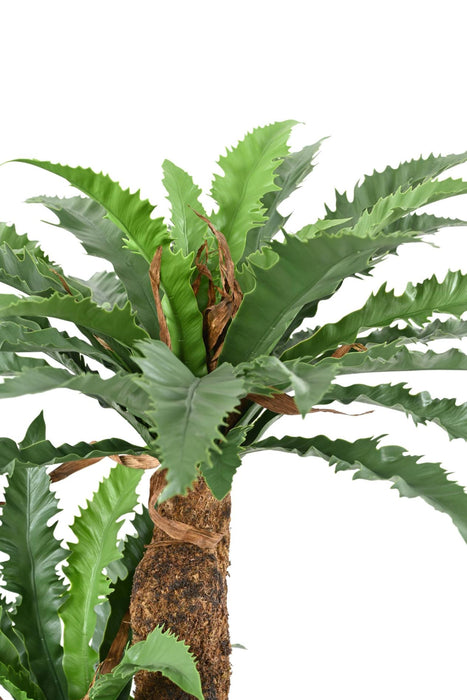 Pianta Artificiale Di Asplenium H130Cm Per Interni