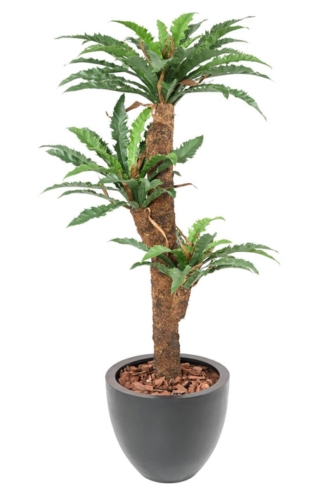 Pianta Artificiale Di Asplenium H130Cm Per Interni
