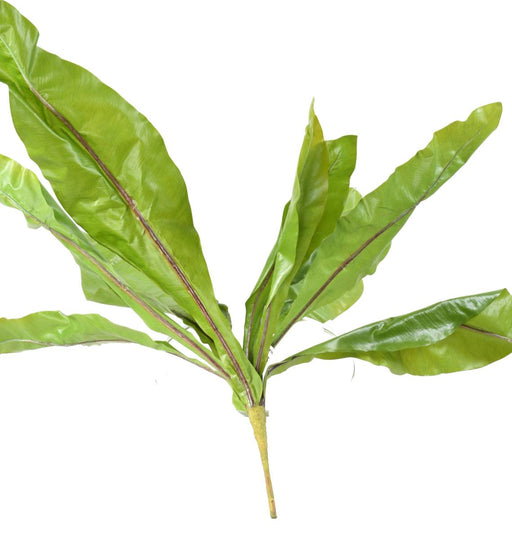 Pianta Asplenium Artificiale Da Interno 70Cm Verde