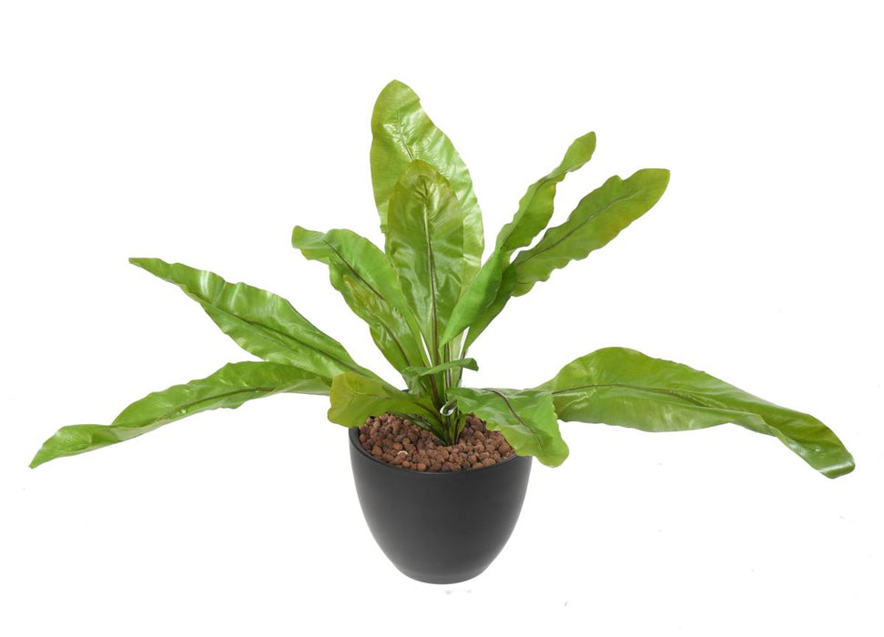 Pianta Asplenium Artificiale Da Interno 70Cm Verde