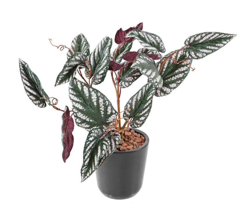 Pianta Artificiale Begonia Muculata 50 Cm