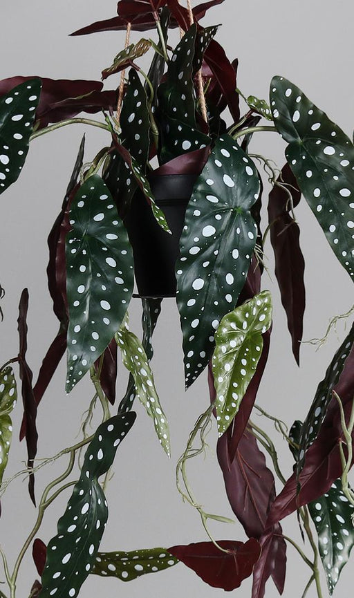 Pianta Artificiale Begonia Muculata Pendente 90Cm