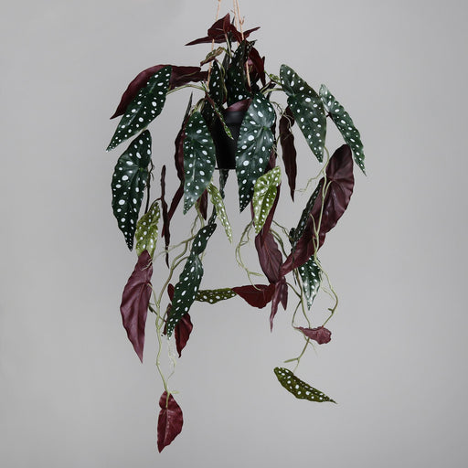 Pianta Artificiale Begonia Muculata Pendente 90Cm