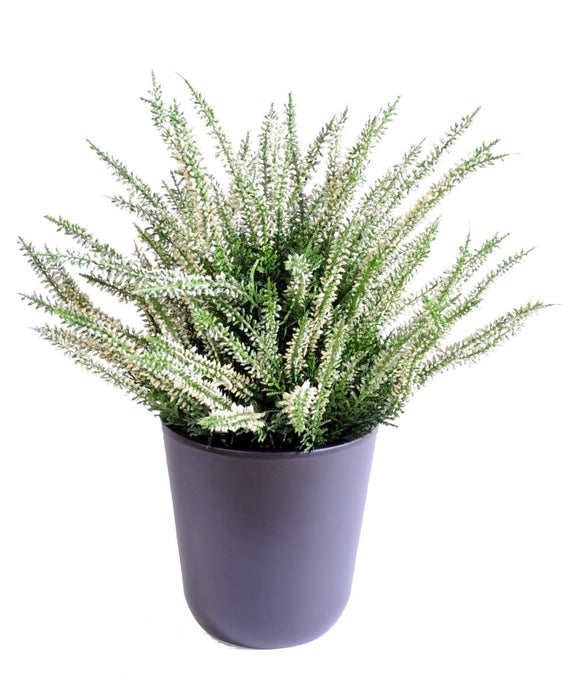 Pianta Artificiale Erica Bianca 35Cm In Vaso