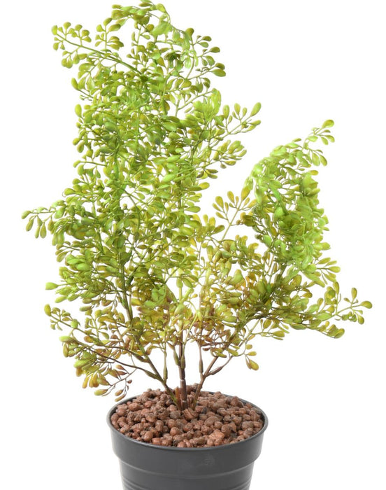 Pianta Artificiale Buxus Palo 50Cm Verde Scuro